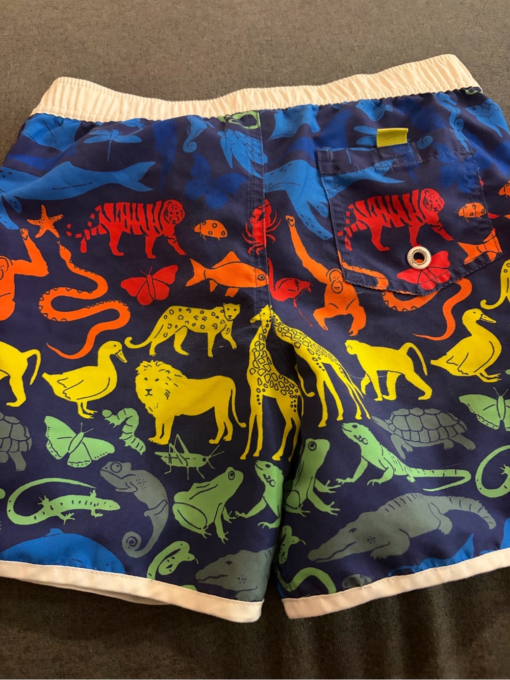 Mini Boden Navy Swim Trunks with Multicolor Animal & Sea Life Print - Picture 2 of 4